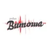 Радио Витоша Плевен 106.1 FM