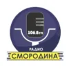 Радио Смородина Сарапул 106.8 FM