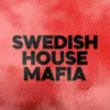 DFM Swedish House Mafia
